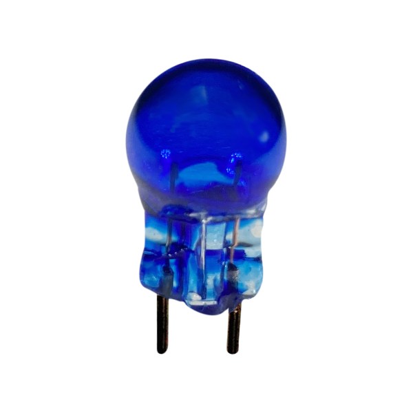 Blue Bulb copy3